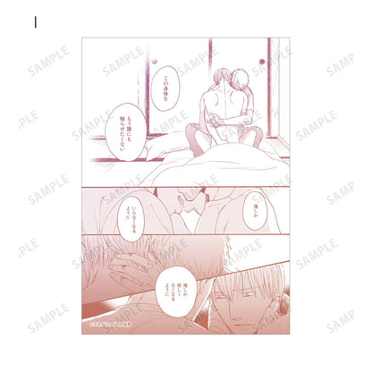 《鳴鳥不飛》 交易寫真卡2枚套裝 第3彈 完整盒（7包入）