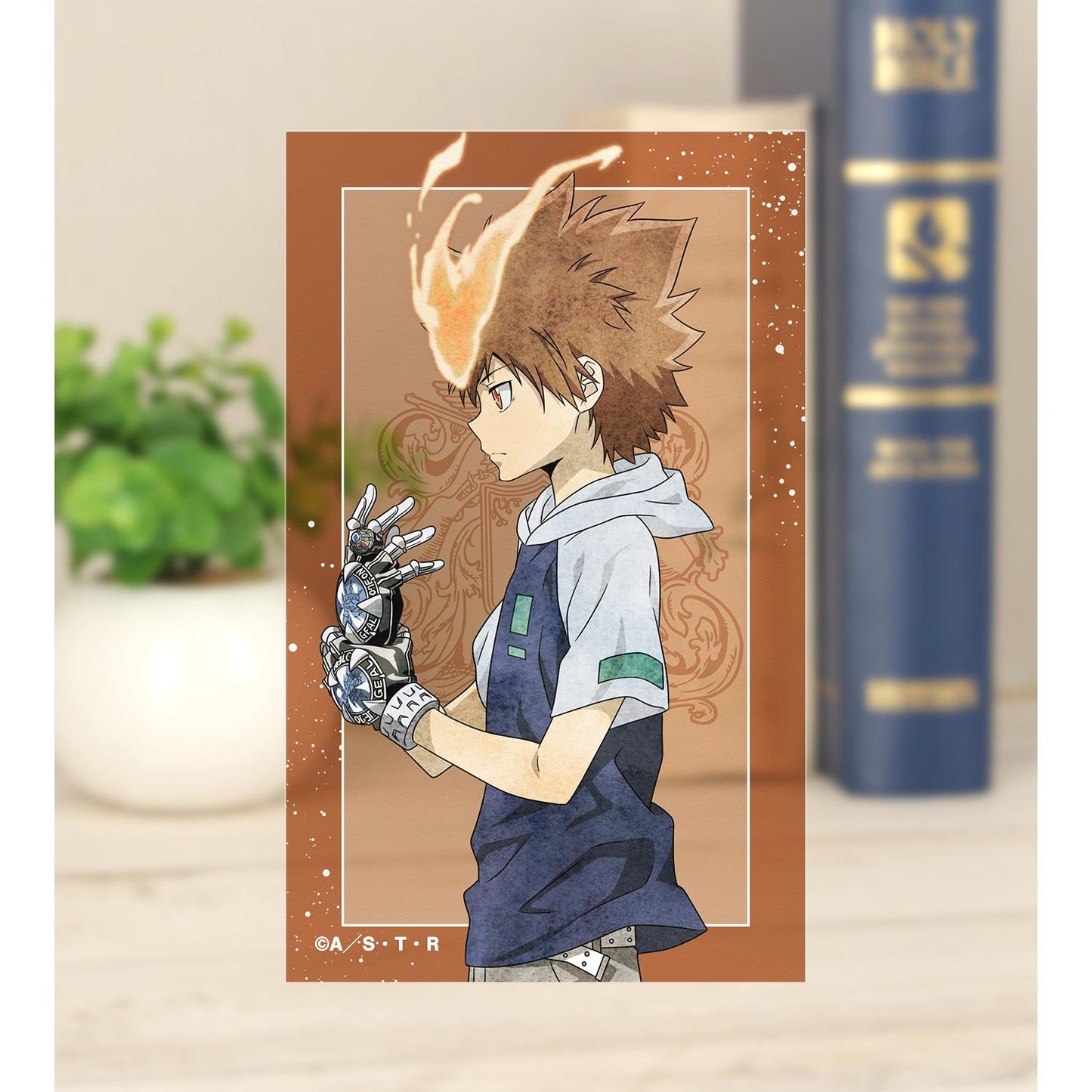 《家庭教師HITMAN REBORN!》（家庭教師HITMAN REBORN!） 新繪步みver. 透明收藏卡 全套盒裝 8包入