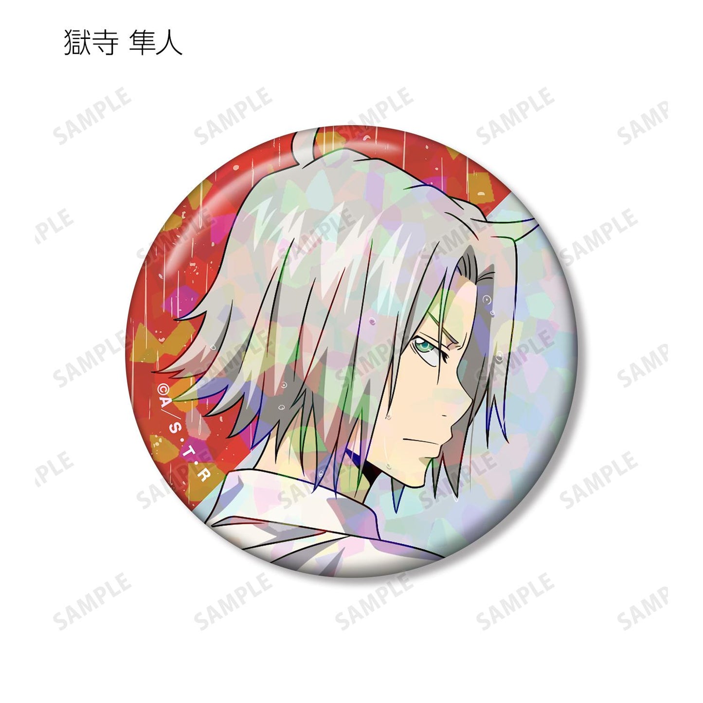 家庭教師ヒットマンREBORN!（家庭教師HITMAN REBORN!） 全息徽章 戰鬥背影×雨ver. 盒裝（10包入）