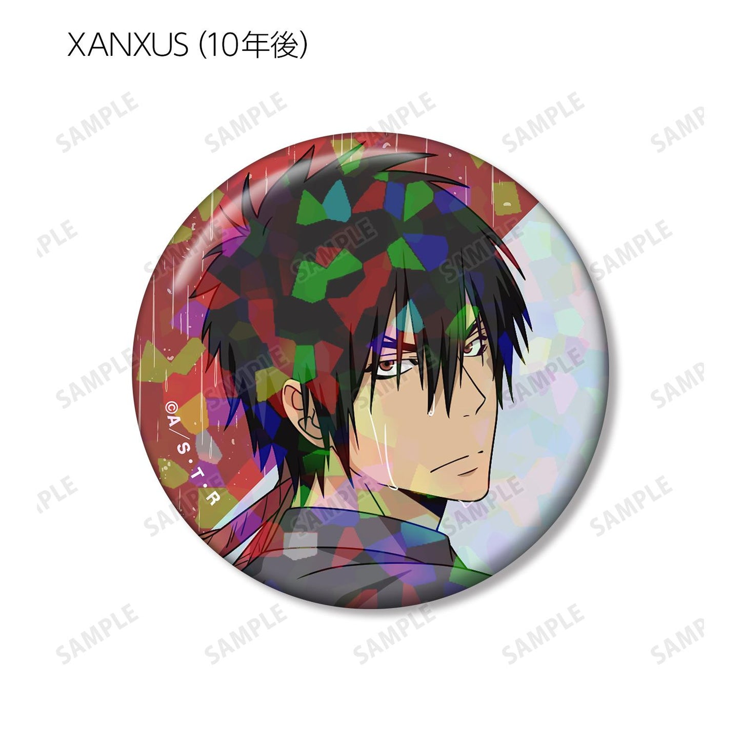 家庭教師ヒットマンREBORN!（家庭教師HITMAN REBORN!） 全息徽章 戰鬥背影×雨ver. 盒裝（10包入）