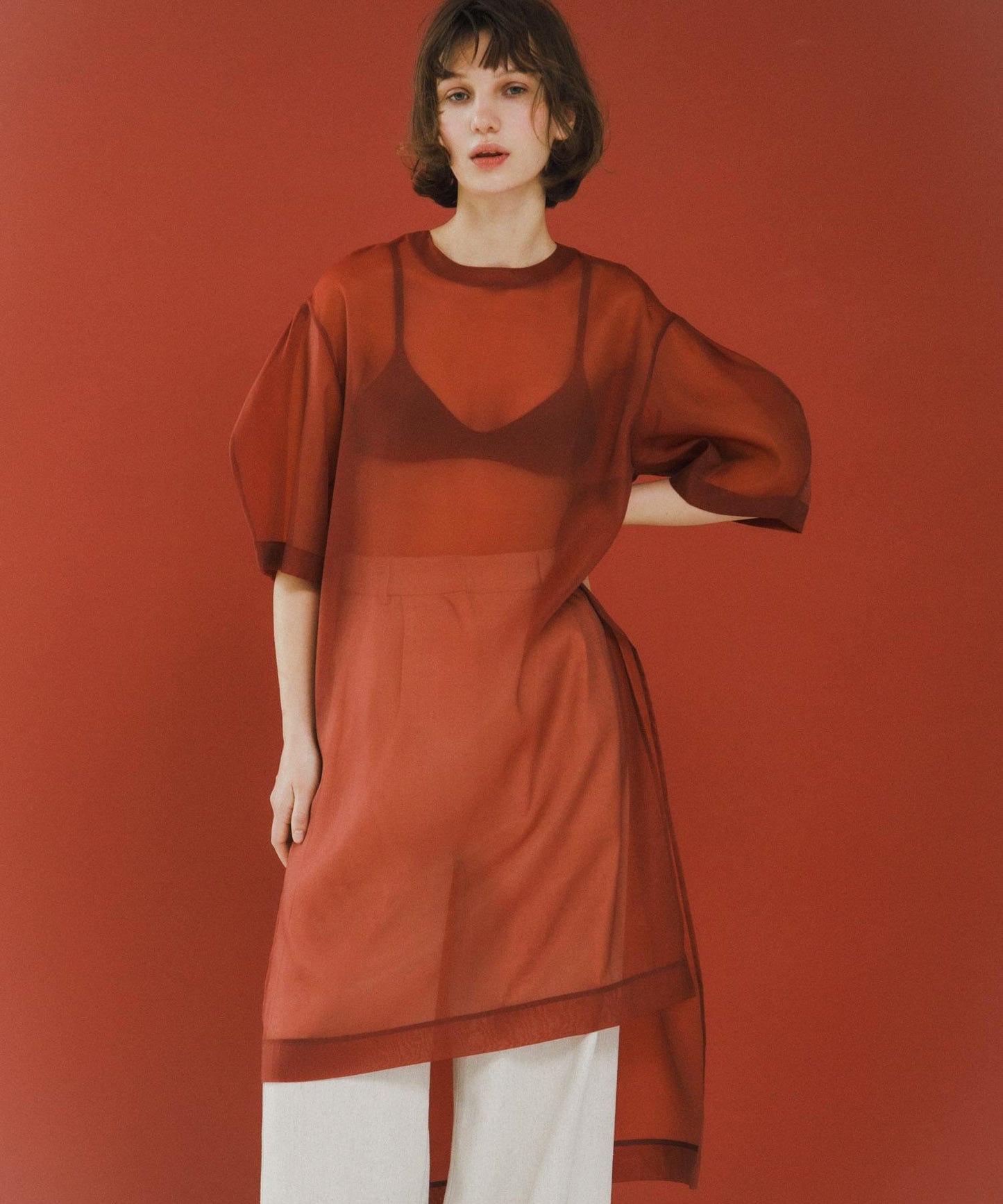 Organdy One Piece 連衣裙