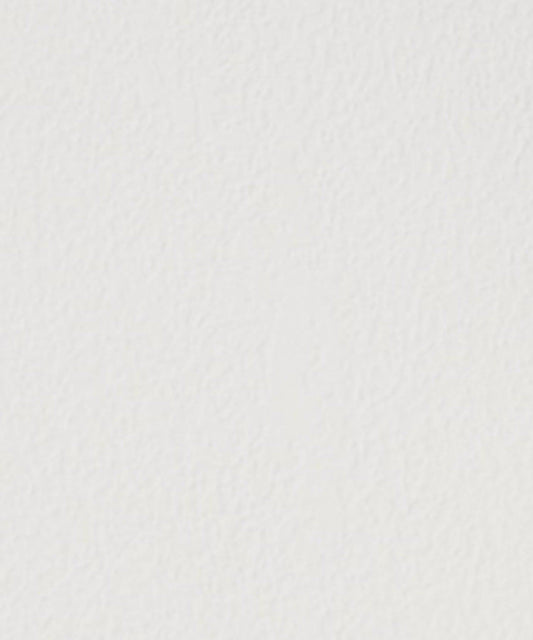 帶胸墊 V領 蕾絲 背心