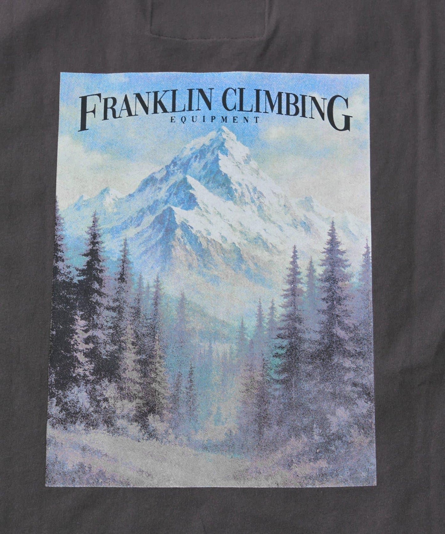 Franklin Climbing 復古圖案 T恤