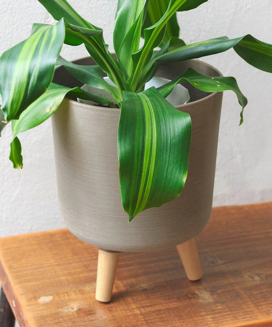 帶腳設計 5號 花盆套