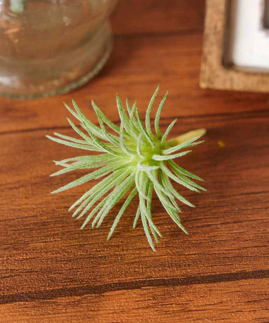 仿真多肉裝飾插枝