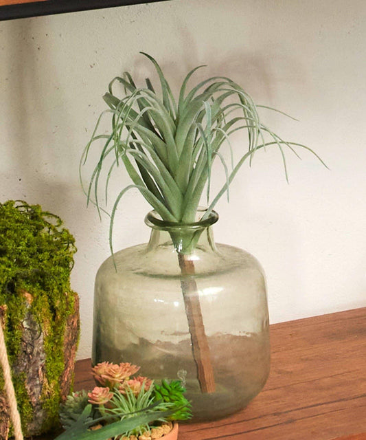 仿真空氣鳳梨裝飾植物