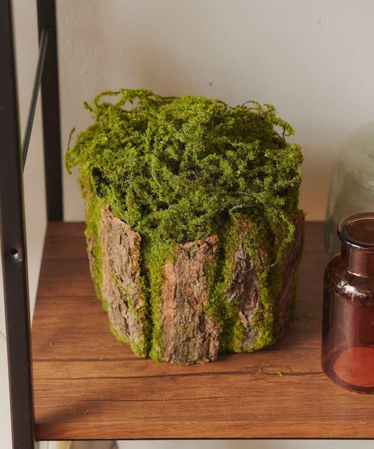 立式仿真苔蘚擺件