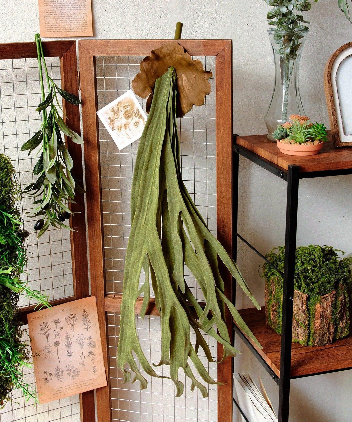 仿真鹿角蕨 仿真植物 L款