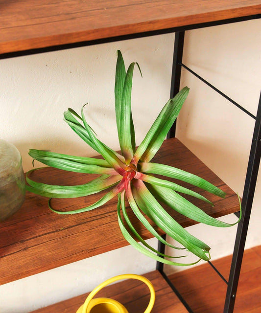 仿真空氣鳳梨 L號 仿真植物