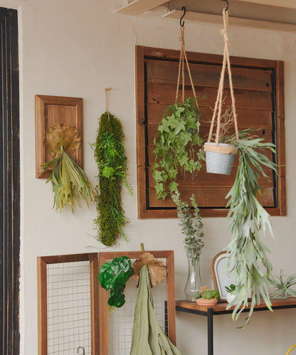 仿真鹿角蕨 裝飾植物