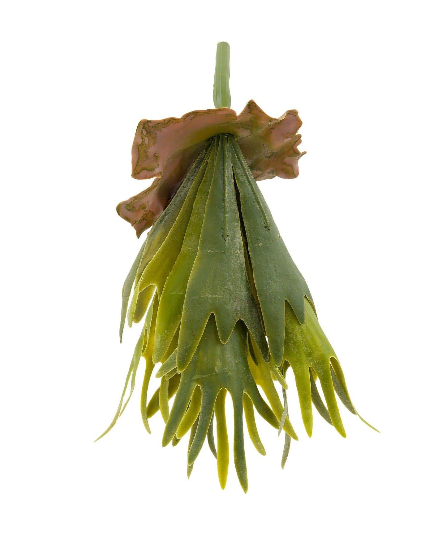 仿真鹿角蕨 裝飾植物