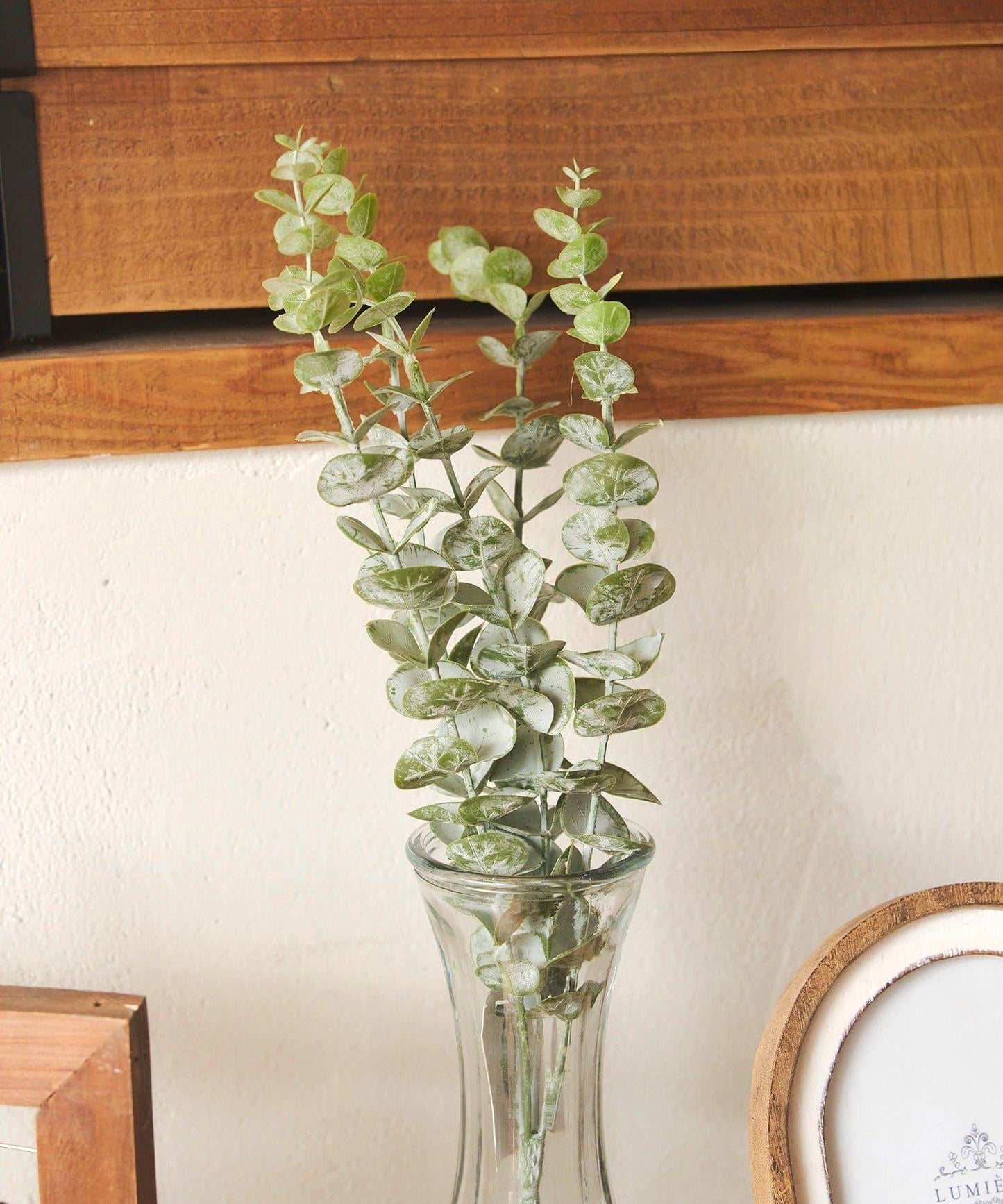 仿真尤加利綠植擺件