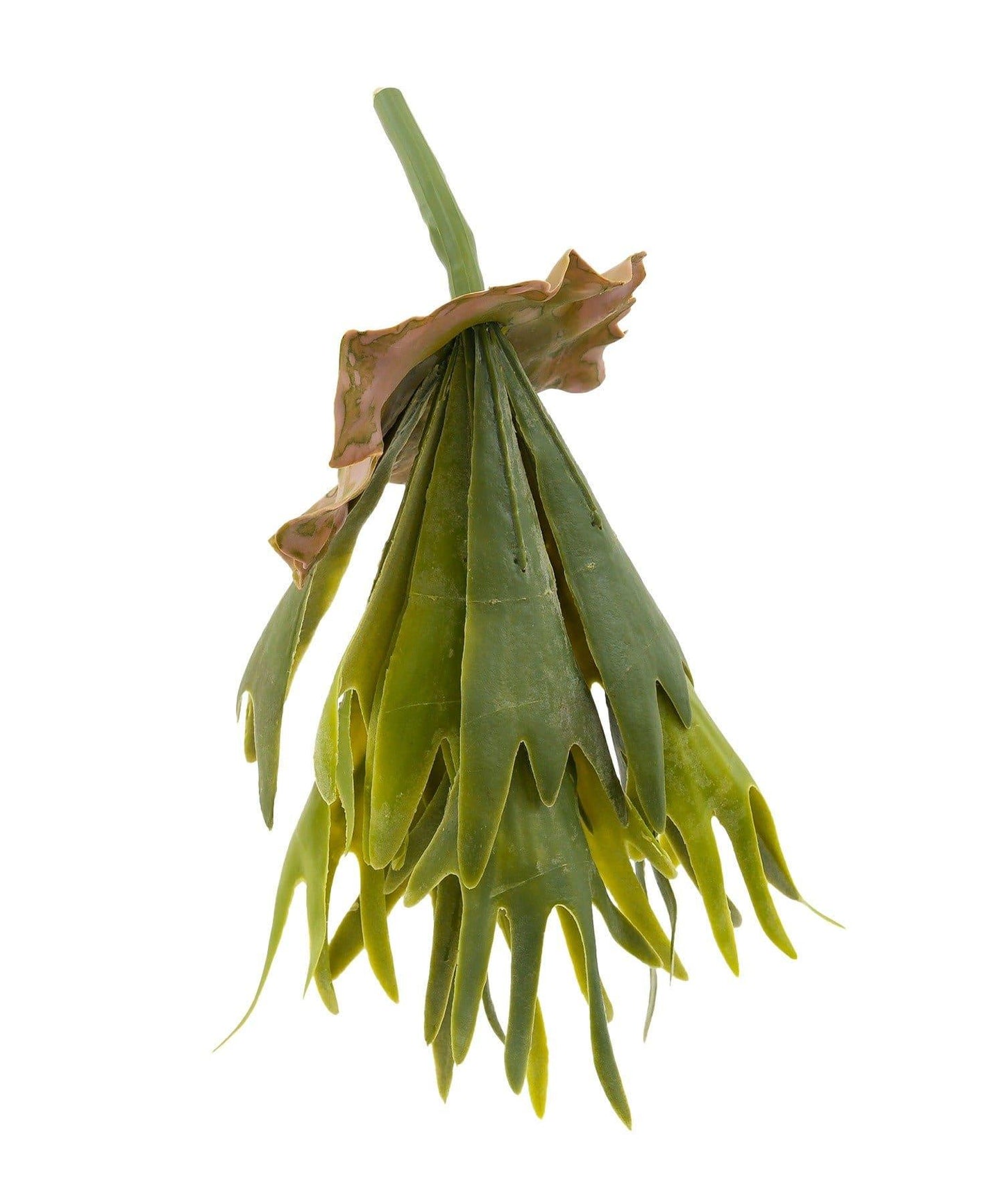 仿真鹿角蕨 裝飾植物