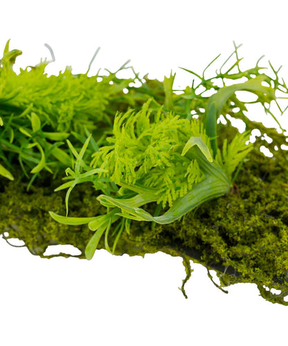 牆面仿真苔蘚裝飾