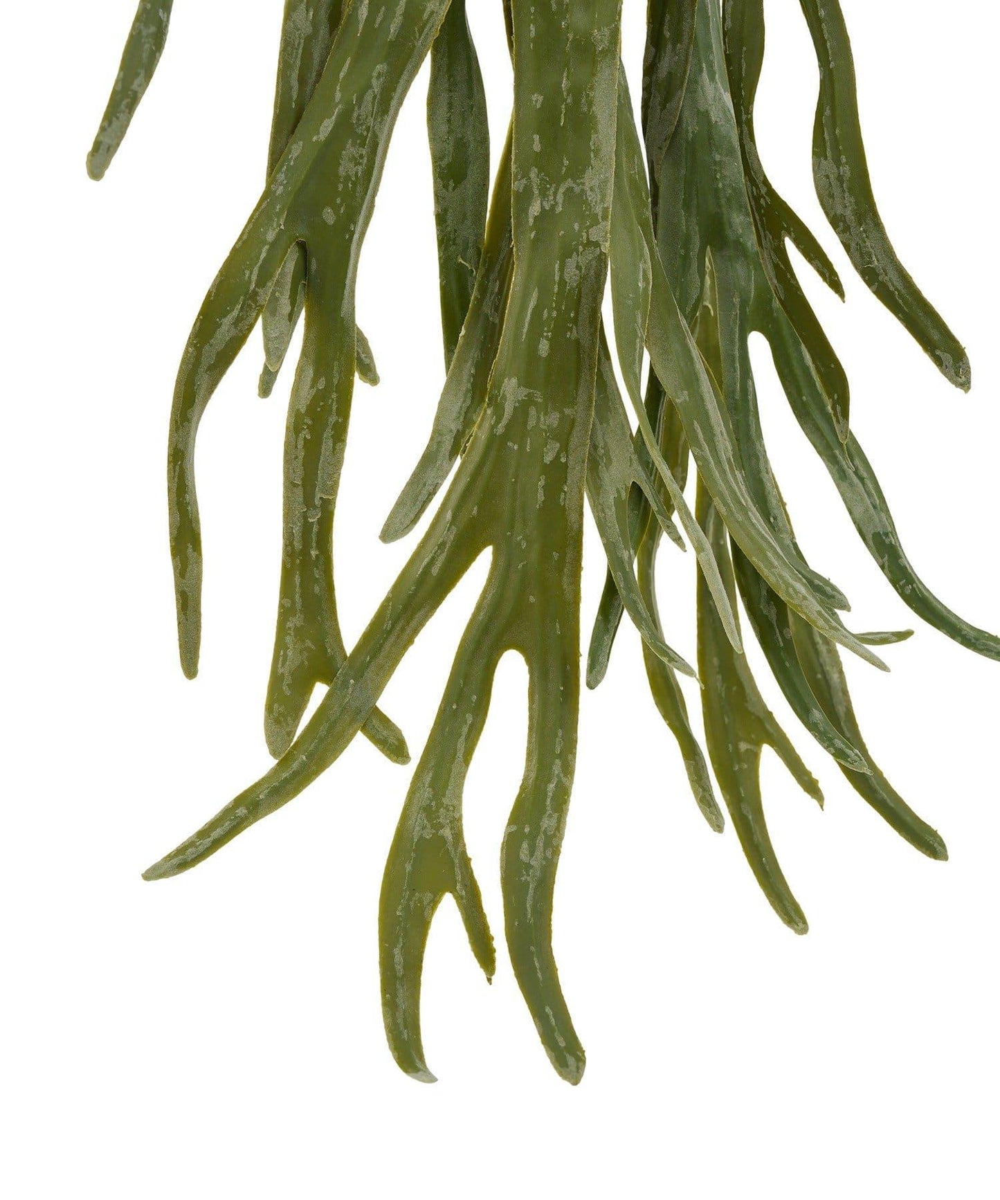 仿真鹿角蕨 仿真植物 L款