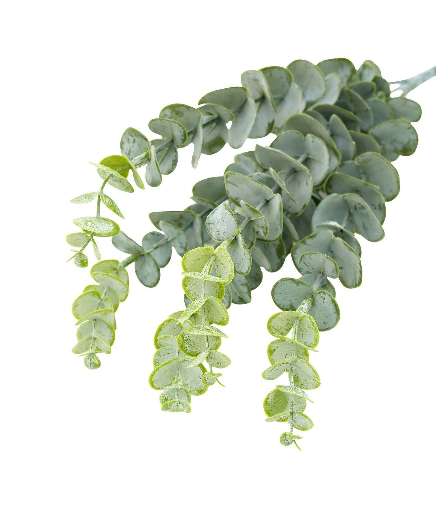 仿真尤加利綠植擺件