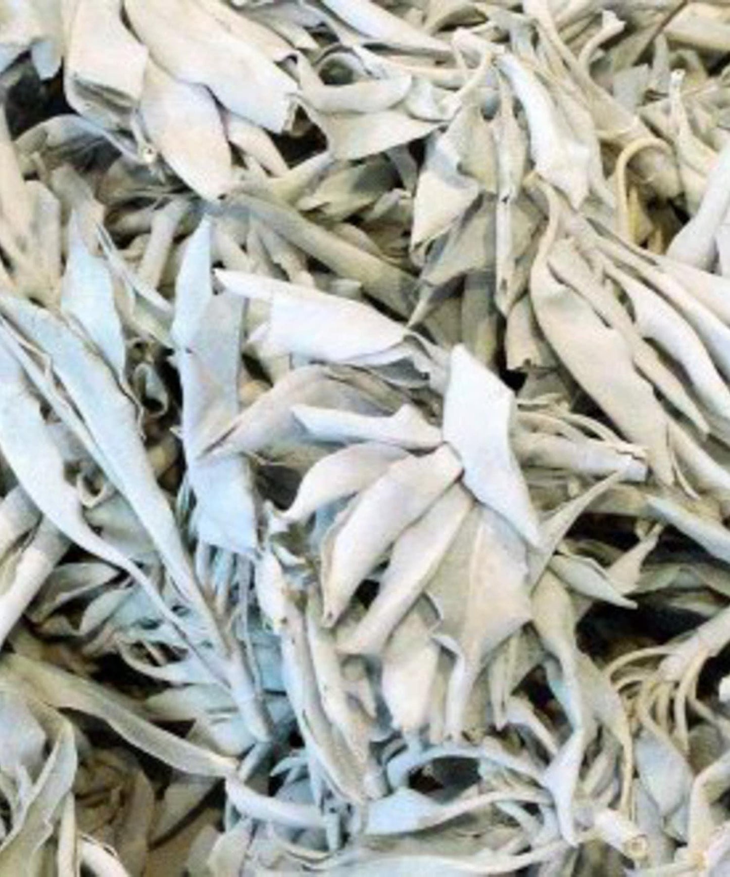 PATH TO PURITY WHITE SAGE BAG 收納包