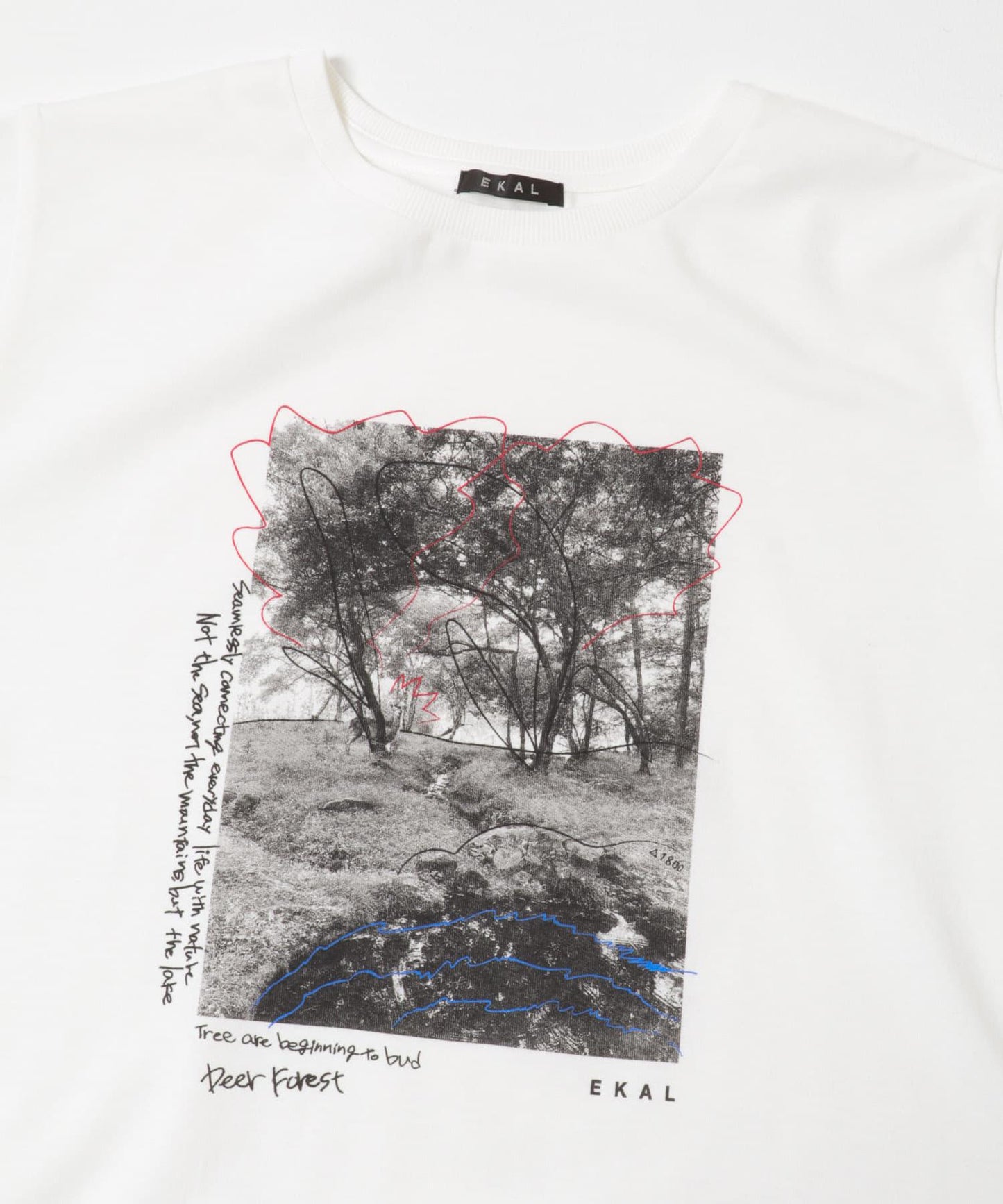 照片印花短袖T恤