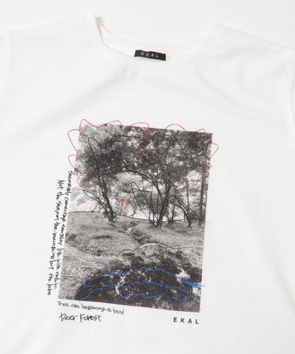 照片印花短袖T恤