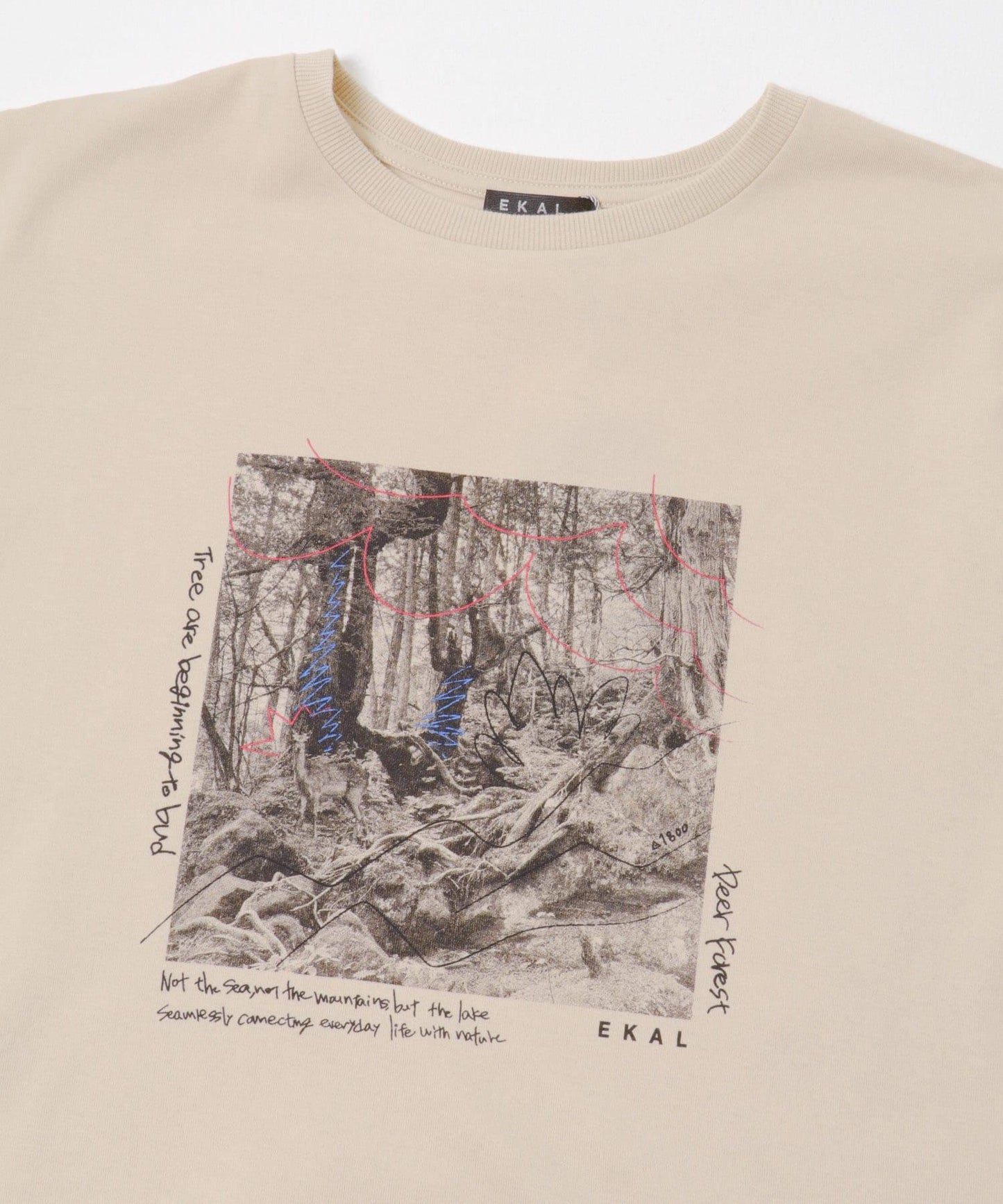 照片印花短袖T恤