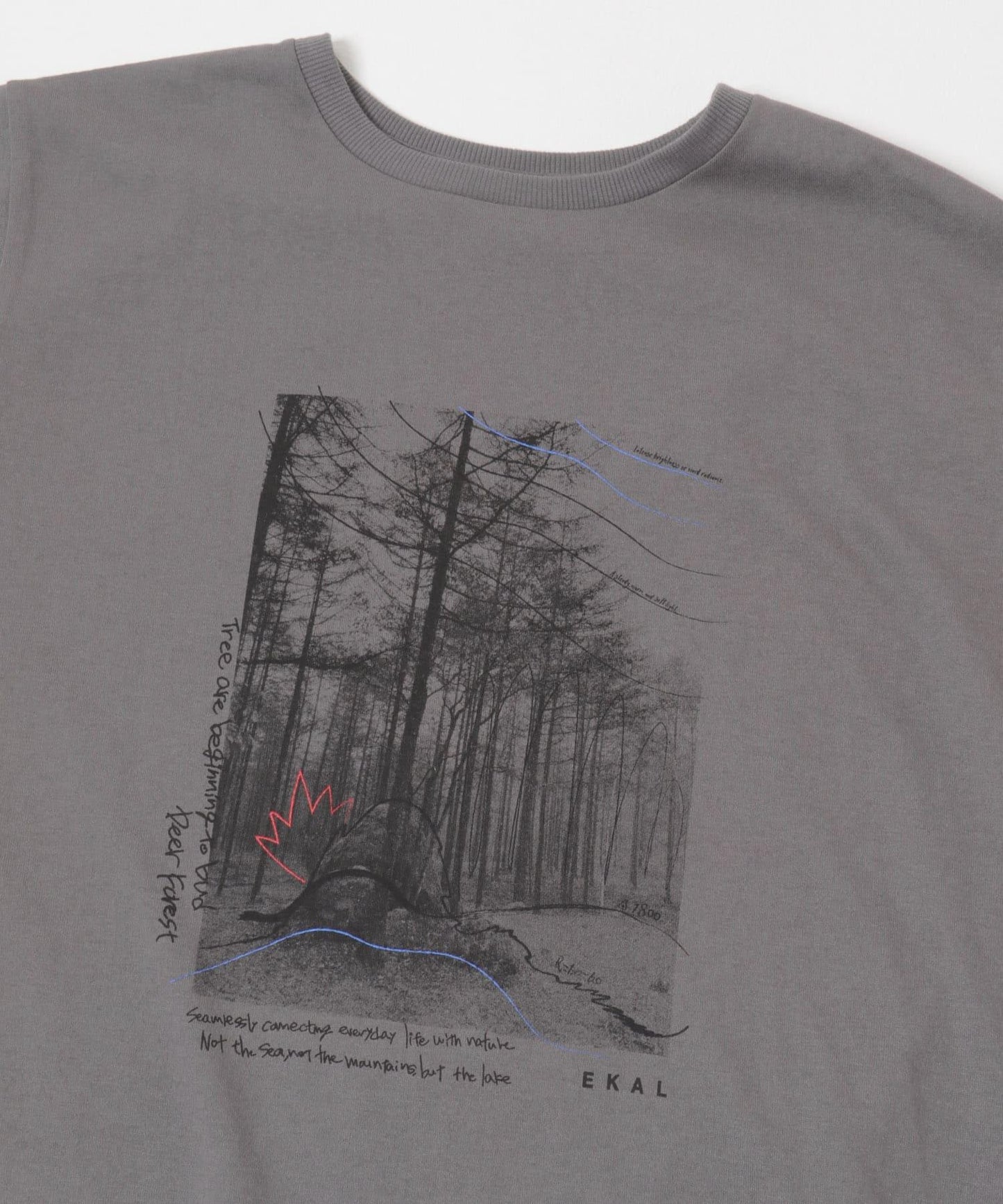 照片印花短袖T恤