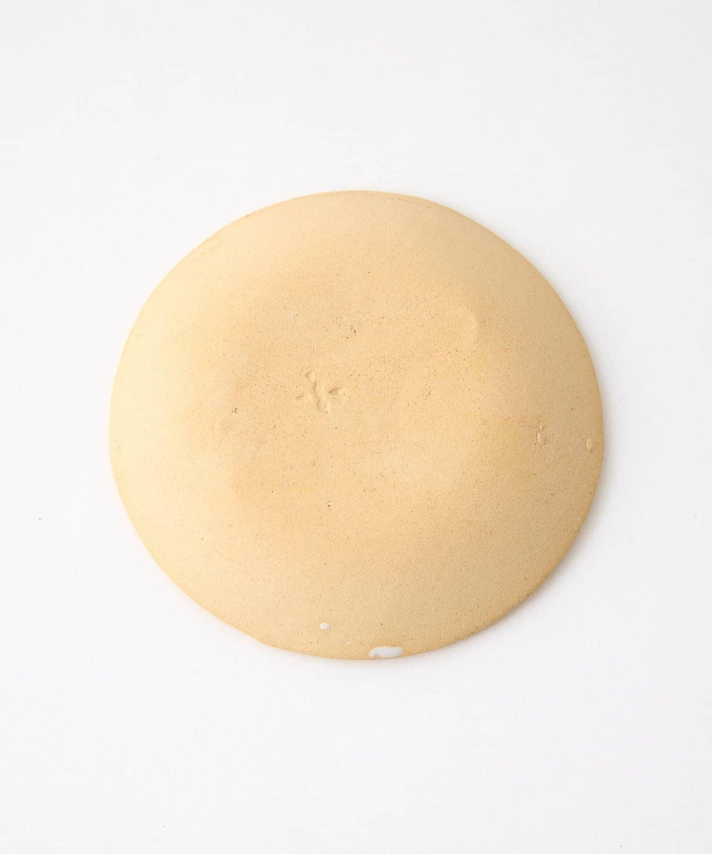 teto ceramics 《聯名》 北極熊櫻花圖案茶碟