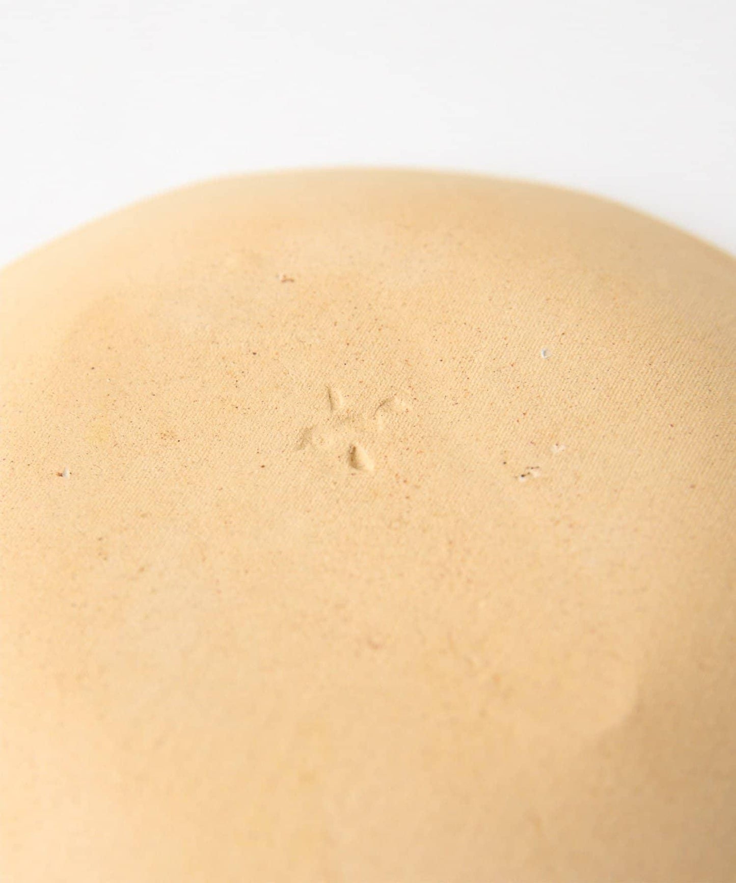 teto ceramics 《聯名》 北極熊櫻花圖案茶碟