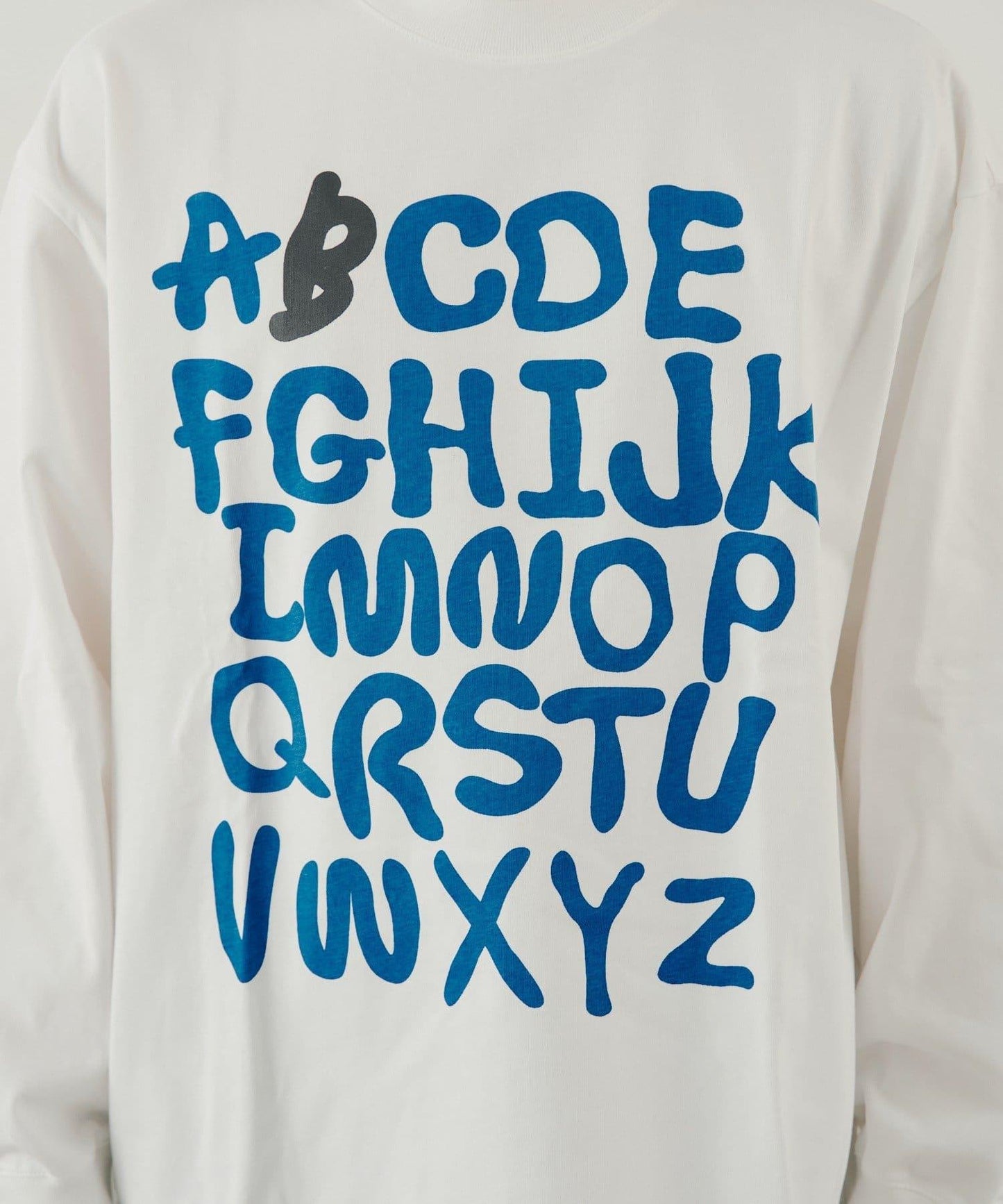169686313