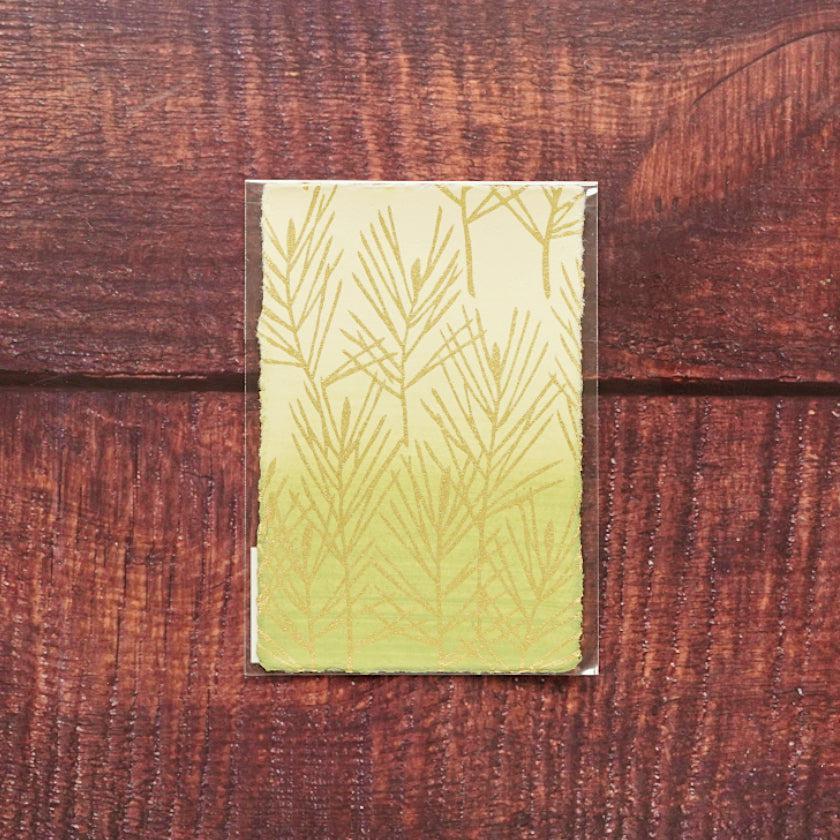 169252884