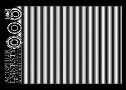 102205954
