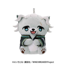 飾品