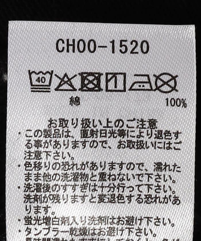 273249731