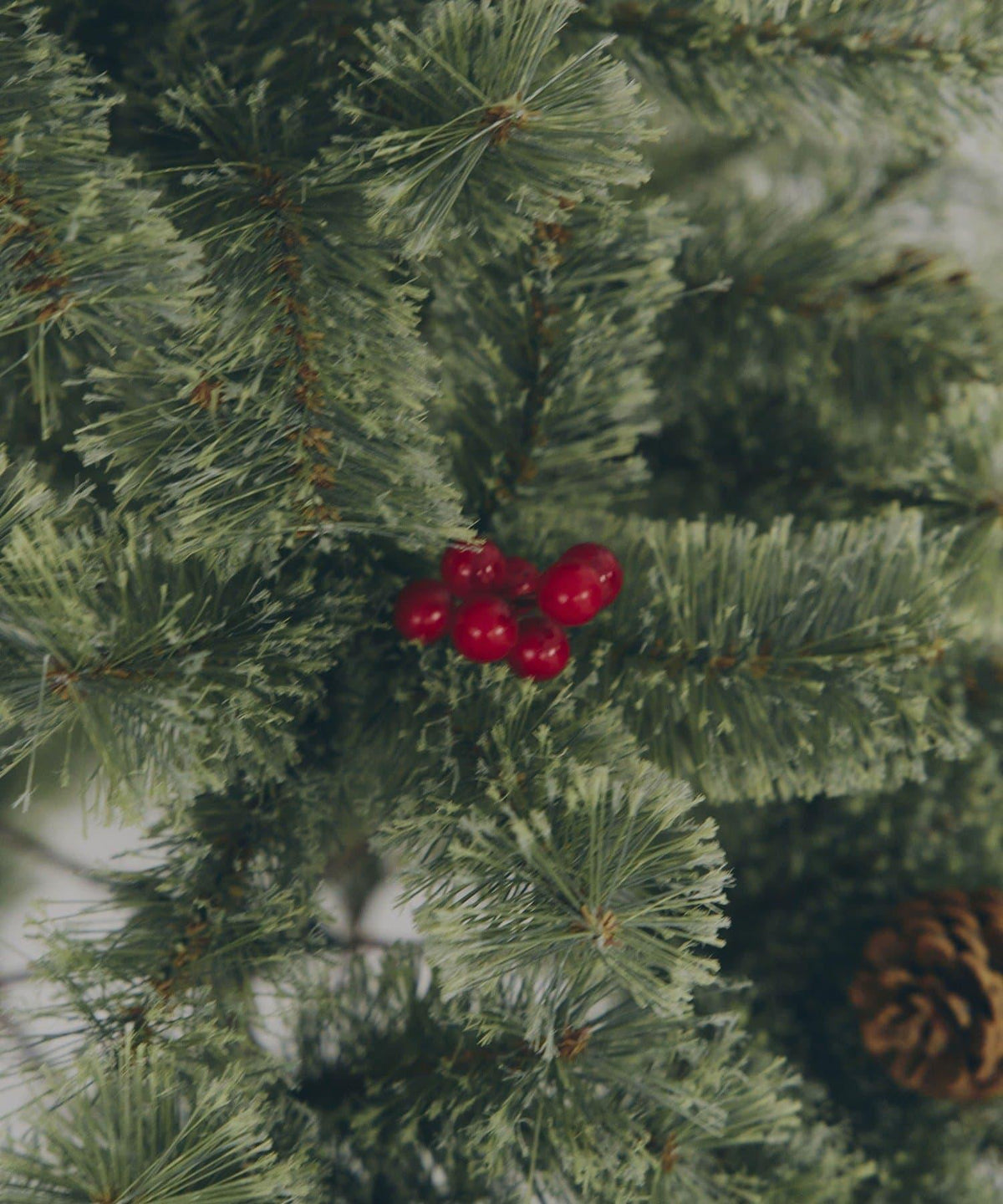 173899780