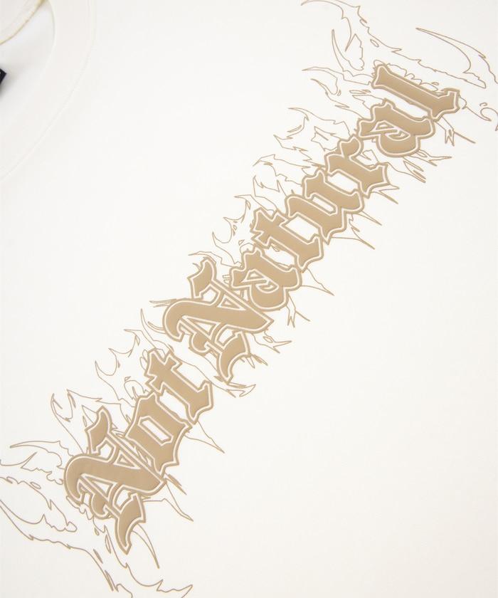 194905877
