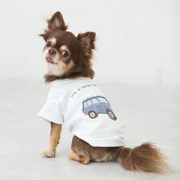 171237374