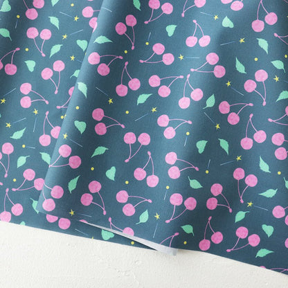 101910300