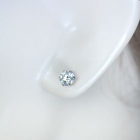 101156772