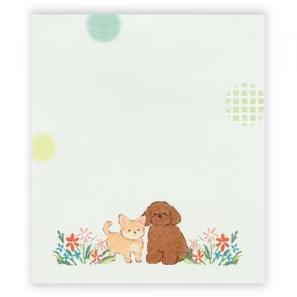 169841064