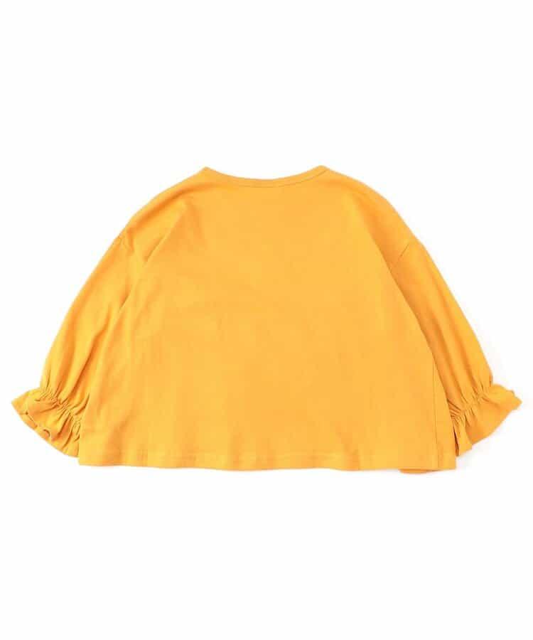 173369697