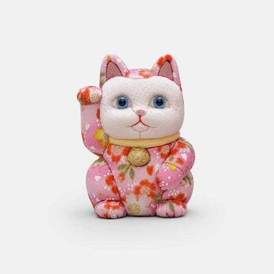 169244891