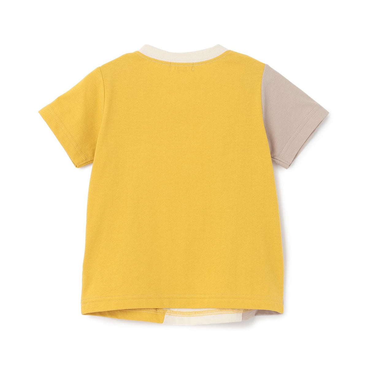 293597839