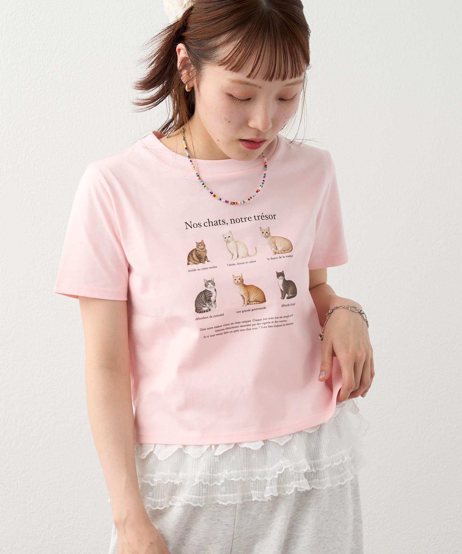 169046500