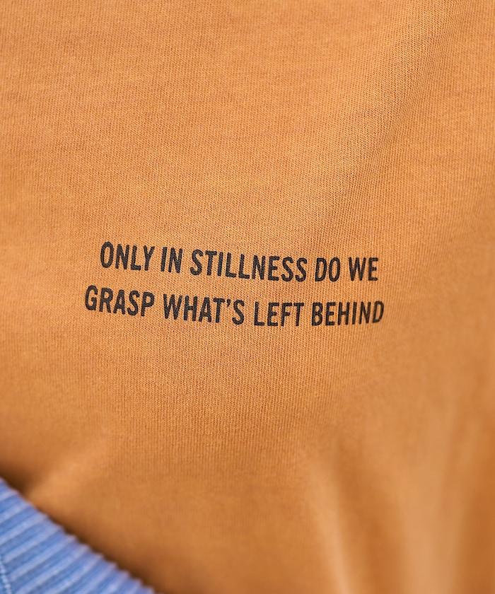 259087498