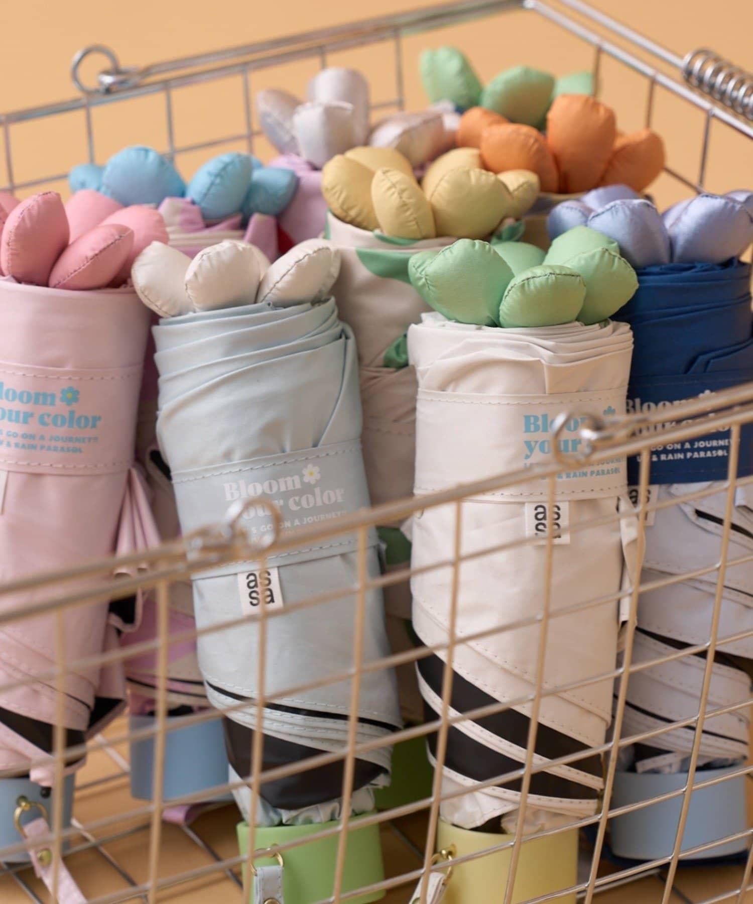 170296290