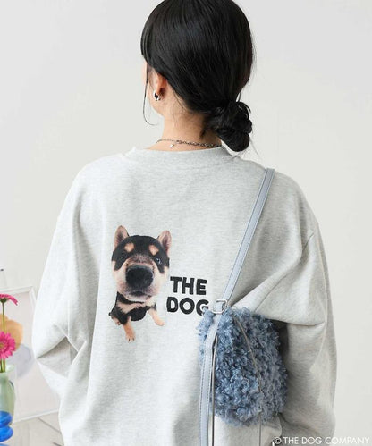 145513197