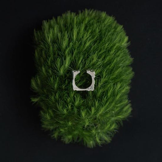 R030
