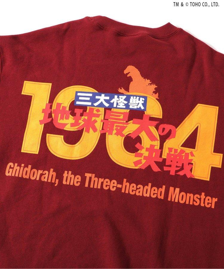 142547065