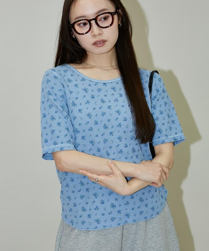 170206161