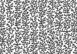 102213361