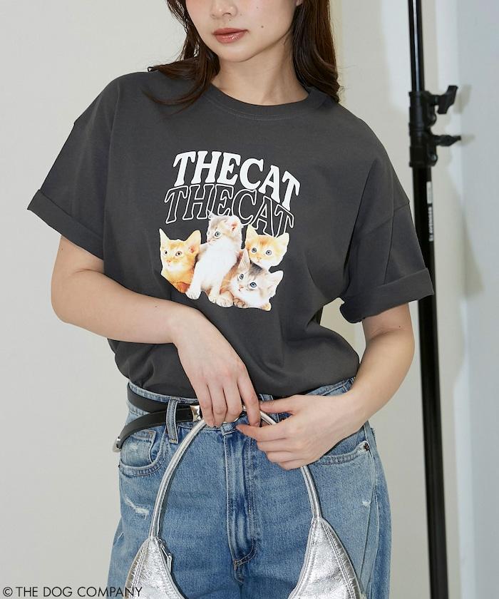 170831623